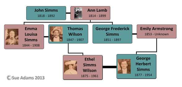 Simms - Wilson cousin chart